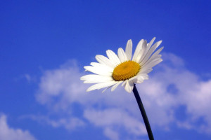 test 27