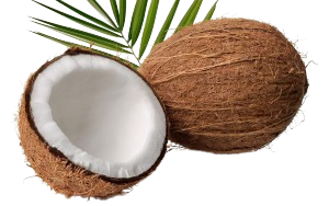 MEENAZ pendan - vegetables