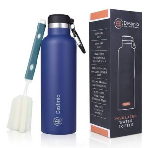 Destinio Insulated Bottle - 750 ML | Leakproof, Double-Walled Vacuum Insulation, 304 Grade Stainless