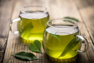 Organic Green Tea Premium